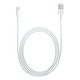 USB lightning кабель iPad mini 1