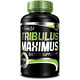 Усилители тестостерона BT TRIBULUS MAXIMUS - 90 к